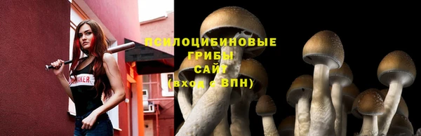экстази Арсеньев